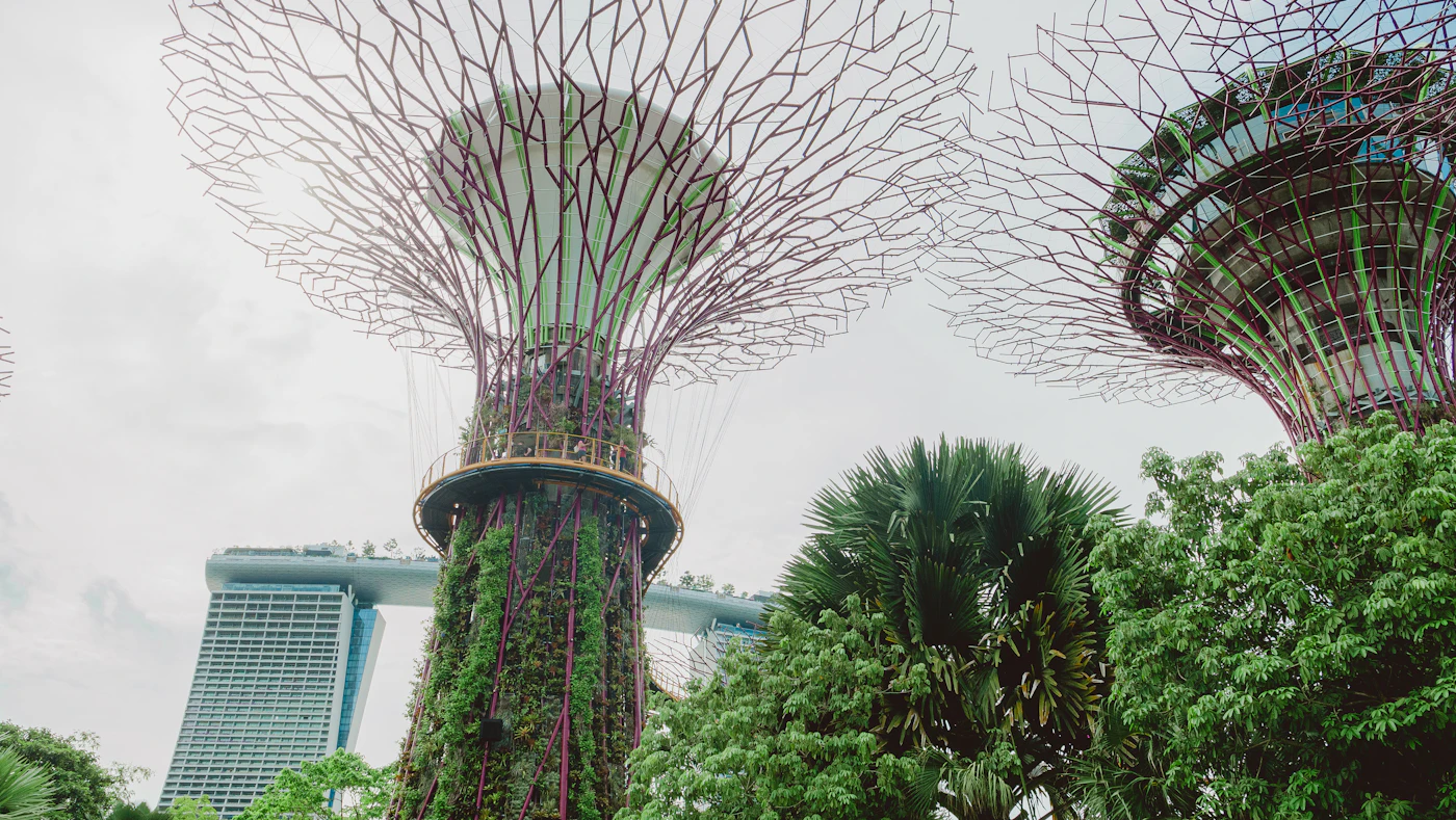 Supertrees rising above tropical greenery at Gardens by the Bay, Singapore